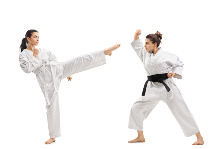 Adult Karate – Toraguchi Martial Arts